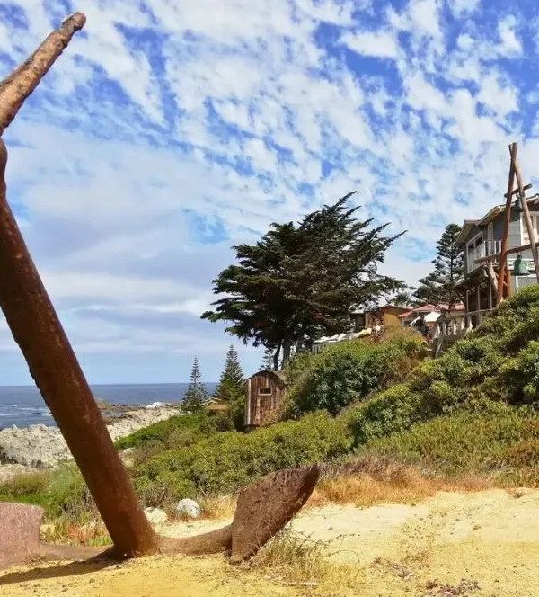 Isla-Negra-Algarrobo-Valle-Casablanca-7